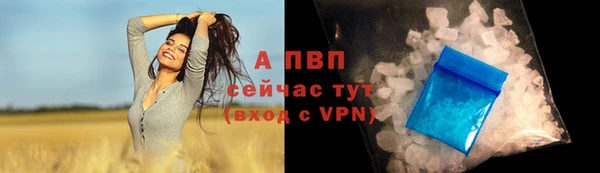 ALPHA PVP Вяземский
