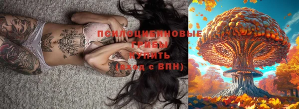 ALPHA PVP Вяземский